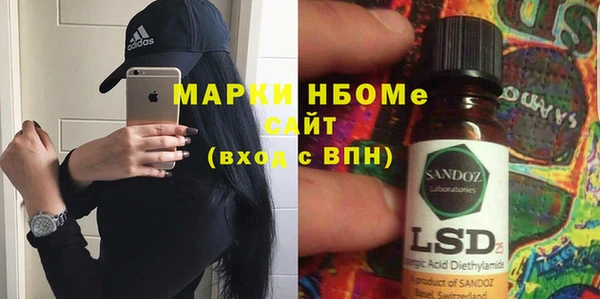 индика Верея